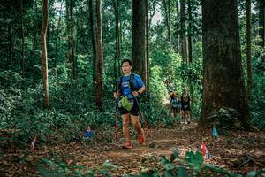 BIB: 
                            <button type="button" onclick="openModal(26135347)" class="btn btn-primary btn-sm float-right btn-popup" data-toggle="modal" data-target=".modal-high-quality">
                        <i class="fas fa-shopping-cart"></i> Add to Cart
                    </button>
                                            <button type="button" onclick="isThisMe(26135347, true)" class="btn btn-success btn-sm float-right btn-popup btn-isme hidden" data-toggle="tooltip" data-placement="bottom" title="นี่คือรูปของคุณใช่ไหม คลิกที่นี่เพื่อเอาเข้าอัลบั้ม">
                        <i class="fas fa-plus"></i> Add to album
                    </button>
                    <button type="button" onclick="isThisMe(26135347, false)" class="btn btn-warning btn-sm float-right btn-popup btn-isnotme hidden">
                        <i class="fas fa-ban"></i> Remove from album
                    </button>